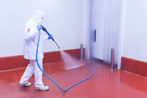 Best Soft Washing  in Hazlehurst, GA